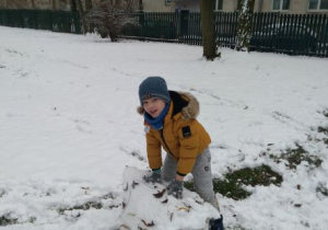 Chłopiec toczy wielką kulę śniegu